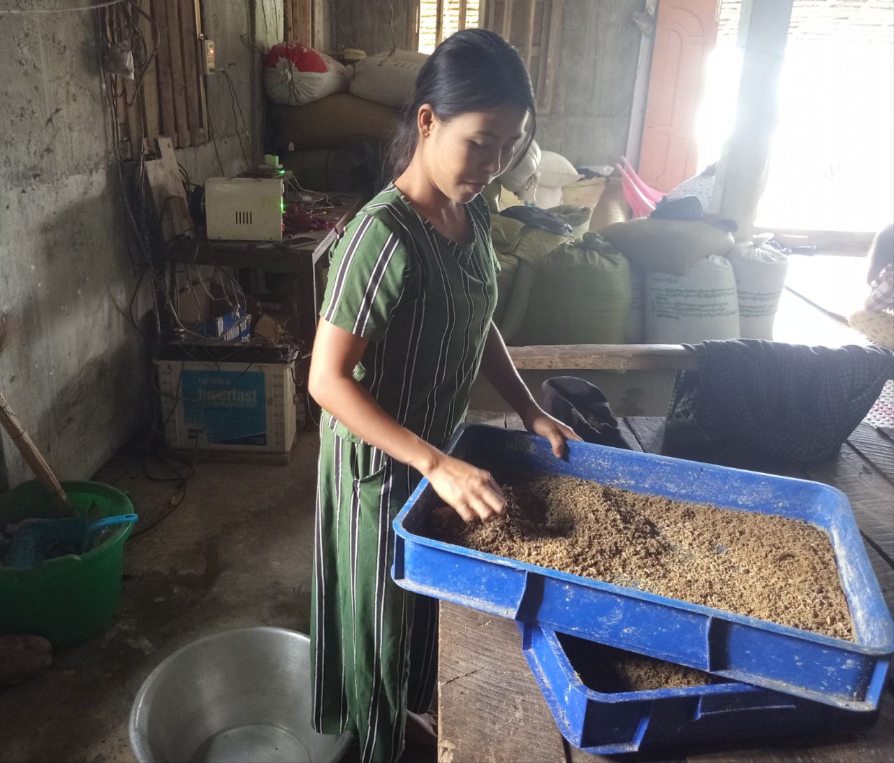 Empowering Women through Sustainable Insect Farming